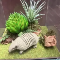アルマジロ　コンパクトジオラマセット