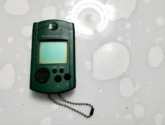 Item thumbnail for item 267756d9-eddb-4023-999a-1e465c92eb7b