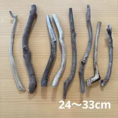 Item thumbnail for item 314ddd6d-9306-46d4-b1c4-2718cdb97c87