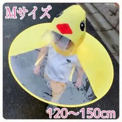 Item thumbnail for item e418850d-8776-415c-9f6a-8673154c32f7