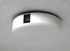 Item thumbnail for item 69d964dd-9d8c-496e-be5d-c12aa145a459