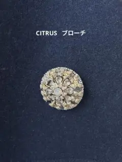 CITRUS シトラス　ブローチ　インポート　花モチーフ メタル　ビーズブローチ