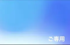 ご専用　ザムスト(ZAMST)