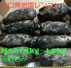 ひなひよみの様専用