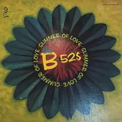 the B-52's LP レコード 帯付き2枚　警告 & 禁断の惑星 Yahoo!オークション -「the b-52's」(レコード) の落札相場