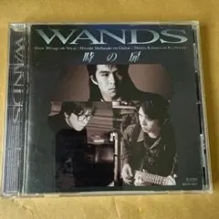 WANDS 時の扉 CD