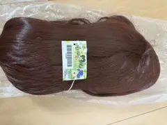 Item thumbnail for item df48b00b-4a7f-41c8-8713-90c133774bb5