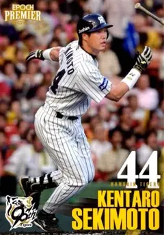 アンダーアーマー元阪神タイガース関本賢太郎選手使用バット 阪神タイガース関本賢太郎使用バット、手袋 （関本賢太郎氏 1軍