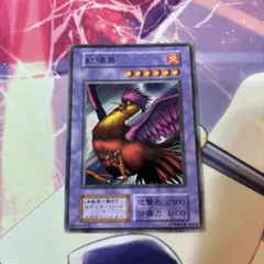 遊戯王 ブースター6 Booster 6 紅陽鳥