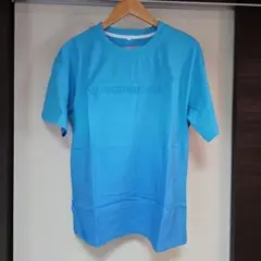 メンズTシャツ グラデーション ブルー 綿100% ゆったりサイズ L