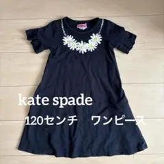 Item thumbnail for item 6c9b6e7c-3d25-451c-9297-49613db0dd71