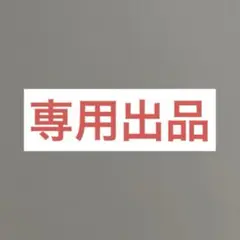 サチロン様　専用出品