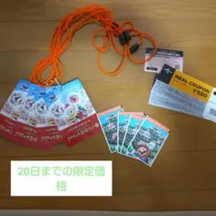USJ クリスマス貸切ナイト 4名分
