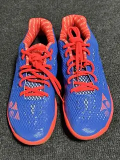AERUS 1 LEE CHONG WEI サイズ26.5センチ