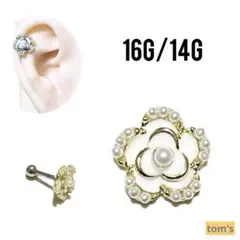 Item thumbnail for item b2987eef-13ff-4569-bae0-3661dfdbf876