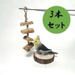 バードトイ「カジカジ　コルク 半月ver.　3本セット」　インコ　鳥　おもちゃ