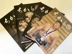 ⭐︎レア⭐︎ ちから 相撲