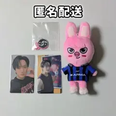 Stray Kids KARMA SKZOO チャンビン ぬい HMV ラキドロ