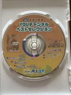 DVD YOUチャンネル ベストセレクション非売品 横浜ミストリーYOU TV