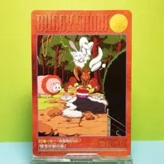 No.35 カードダス ワンピース ビジュアルアドベンチャー パート１ 当時もの