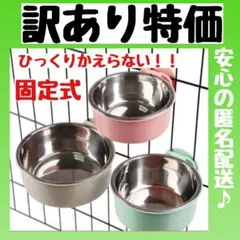 訳あり 新品 猫 餌入れ 犬 2個 フードボール 食器 えさ入れ 水入れ 固定式