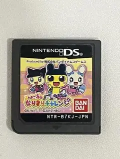 【動作確認済み】たまごっちのなりきりチャレンジ DSカセット
