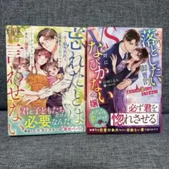 ベリーズ文庫 マーマレード文庫 8月新刊 2冊セット