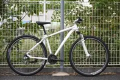 タイヤ新品!SPECIALIZEDのクロスバイク 165-180cm