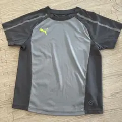 早い者勝ち！PUMAドライフィット140