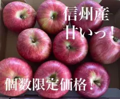 信州産 りんご お試し限定価格!