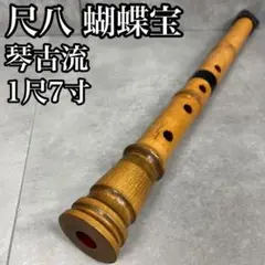Item thumbnail for item 8db85d92-64cf-48c4-9226-c96d4bcb829b