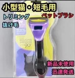 Item thumbnail for item 1f15b06b-4706-4dd0-bda5-2fa6dcaaa3be