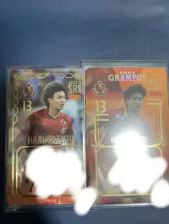 名古屋グランパス 藤井陽也 直筆サイン入りオンサイトカード SSR SR セット