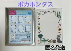 ポカホンタス　硬質カードケース　ディズニープリンセス　ハードケース　即購入可