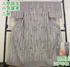 人間国宝 小宮康孝 江戸小紋 訪問着 三越扱い m-2s9858