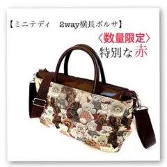 老舗ヤマト屋　ミニテディショルダーバッグ　2way横長ボルサ