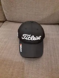 Item thumbnail for item 76faf610-de03-498f-a88a-b4efdc9b00b5