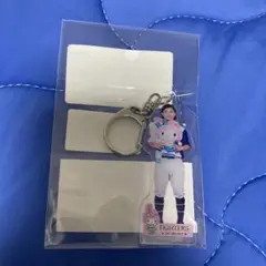 日ハム上川畑大悟 可愛いシリーズアクキー