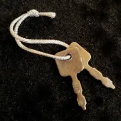 Item thumbnail for item 24d57a47-0b23-4ace-99ba-a3a6b645989b