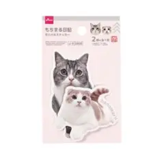 Item thumbnail for item ce881f40-af5a-4209-bd11-f85ddd5cf01b