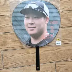 Item thumbnail for item 32ccb2fb-7be9-406c-9336-8c43d1e28eeb