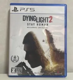 ダイイングライト2