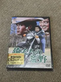 俺たちの荒野 DVD 黒沢年男 酒井和歌子