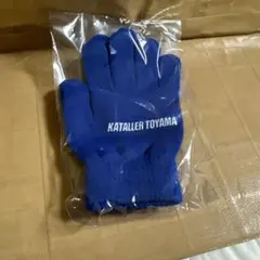 カターレ富山 手袋