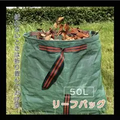 Item thumbnail for item 39aaf0b6-c8a1-4e44-bdec-a2f629edcc04