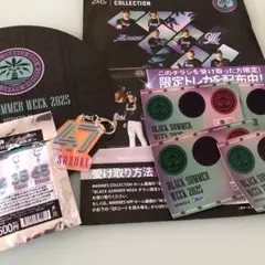 千葉ロッテマリーンズ オーロラキーホルダー　ステッカー　鈴木昭汰