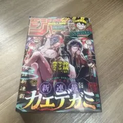 週刊少年ジャンプ 2025 30号 カエデガミ とじこみ付録付き
