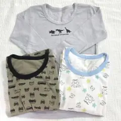 Item thumbnail for item 1507d352-69e0-493a-9ca3-151fda2ab862