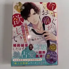 今すぐお前が欲しい ～俺様御曹司と甘く危険な政略結婚～