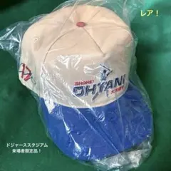 Item thumbnail for item 210327c5-6597-47ca-a722-8ba78aefa472